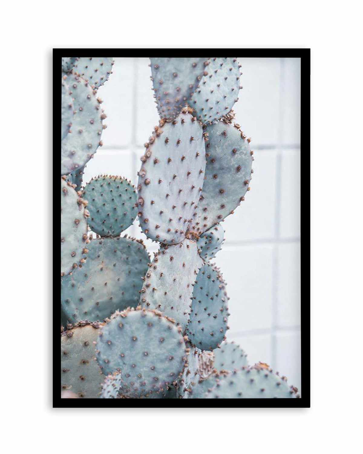 Pale Prickly Pear II Art Print