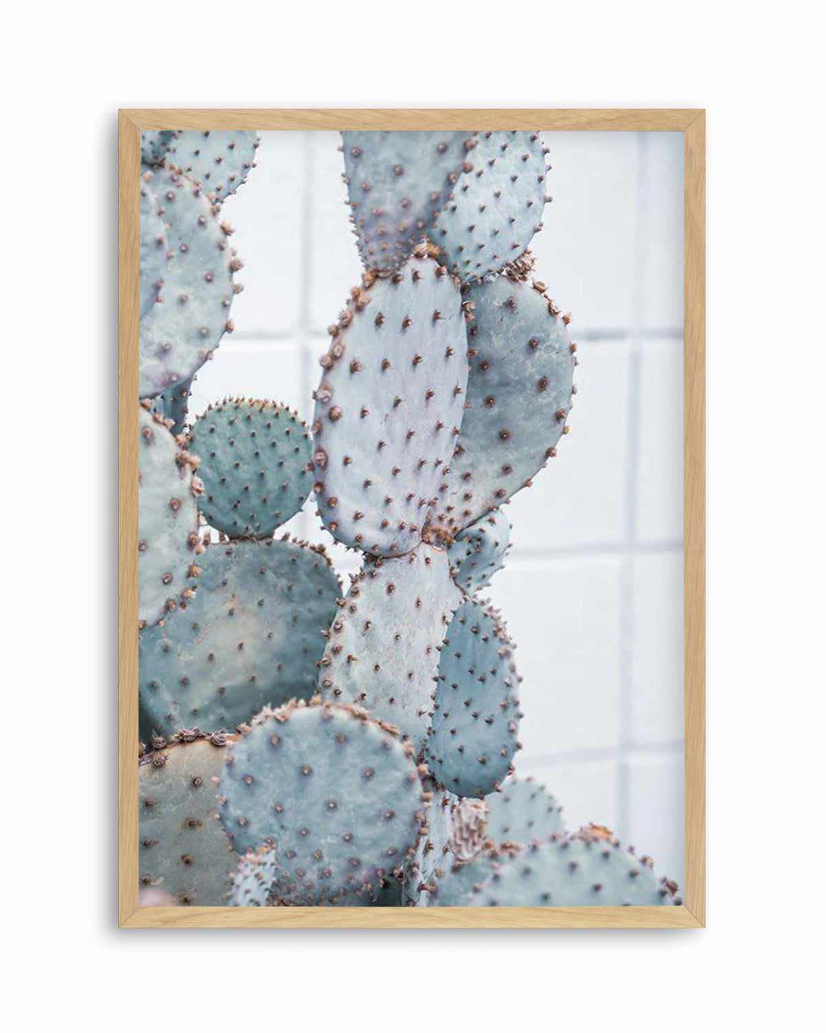 Pale Prickly Pear II Art Print