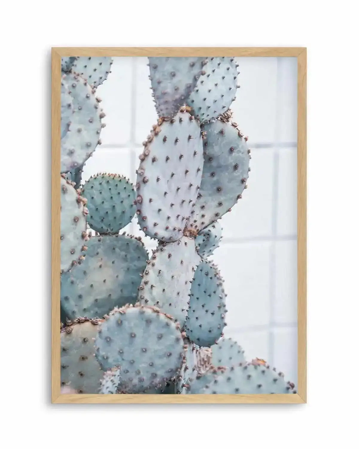 Pale Prickly Pear II Art Print from Olive et Oriel where you can shop wallpaper and artworks online