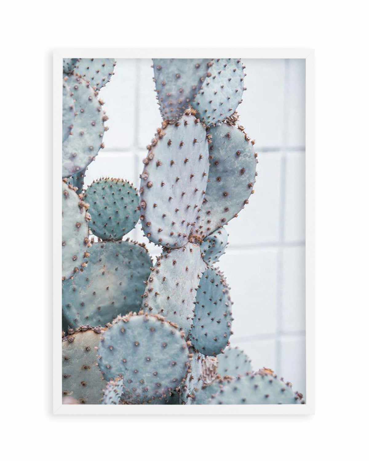 Pale Prickly Pear II Art Print