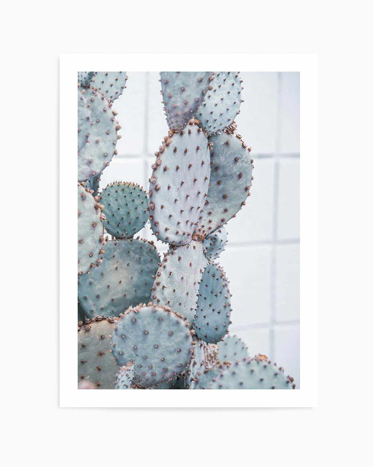 Pale Prickly Pear II Art Print