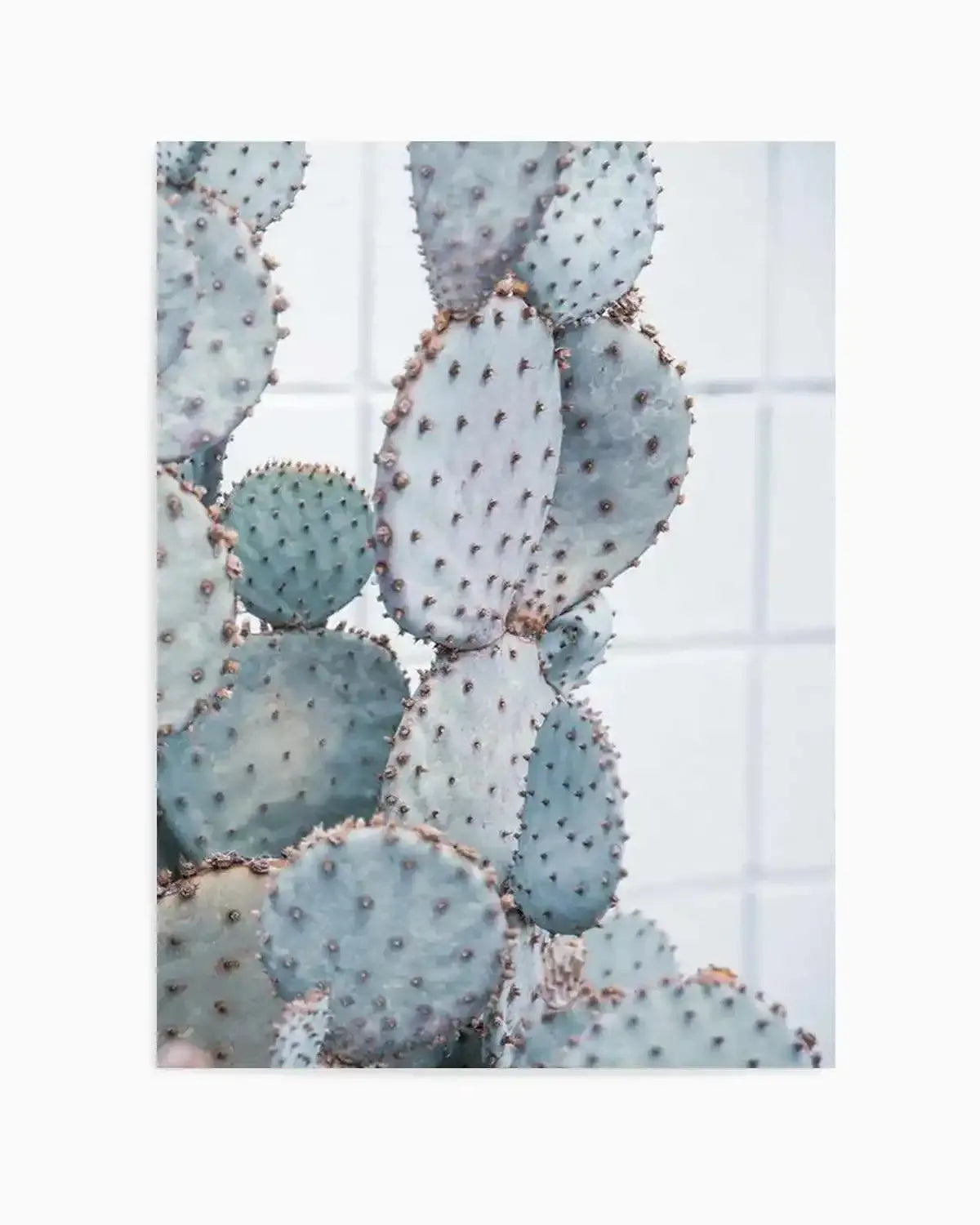 Pale Prickly Pear II Art Print from Olive et Oriel where you can shop wallpaper and artworks online