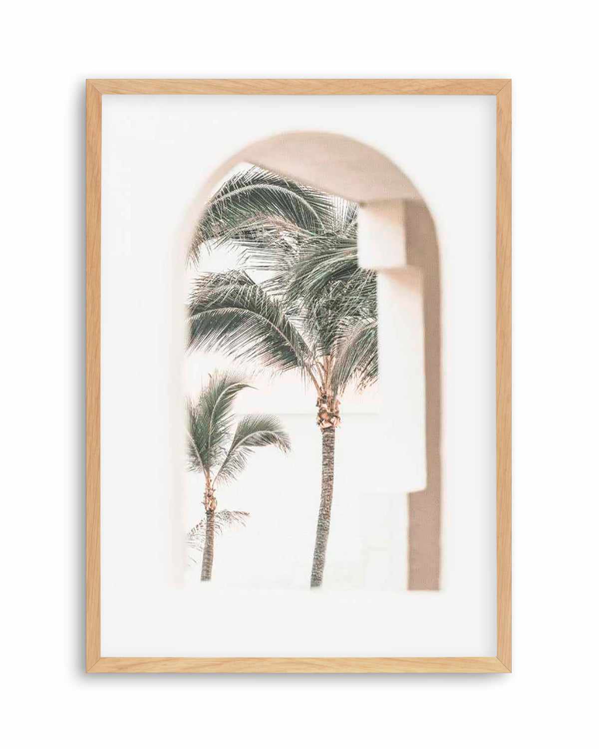 Palm Arch I by Miguel Herandez Art Print