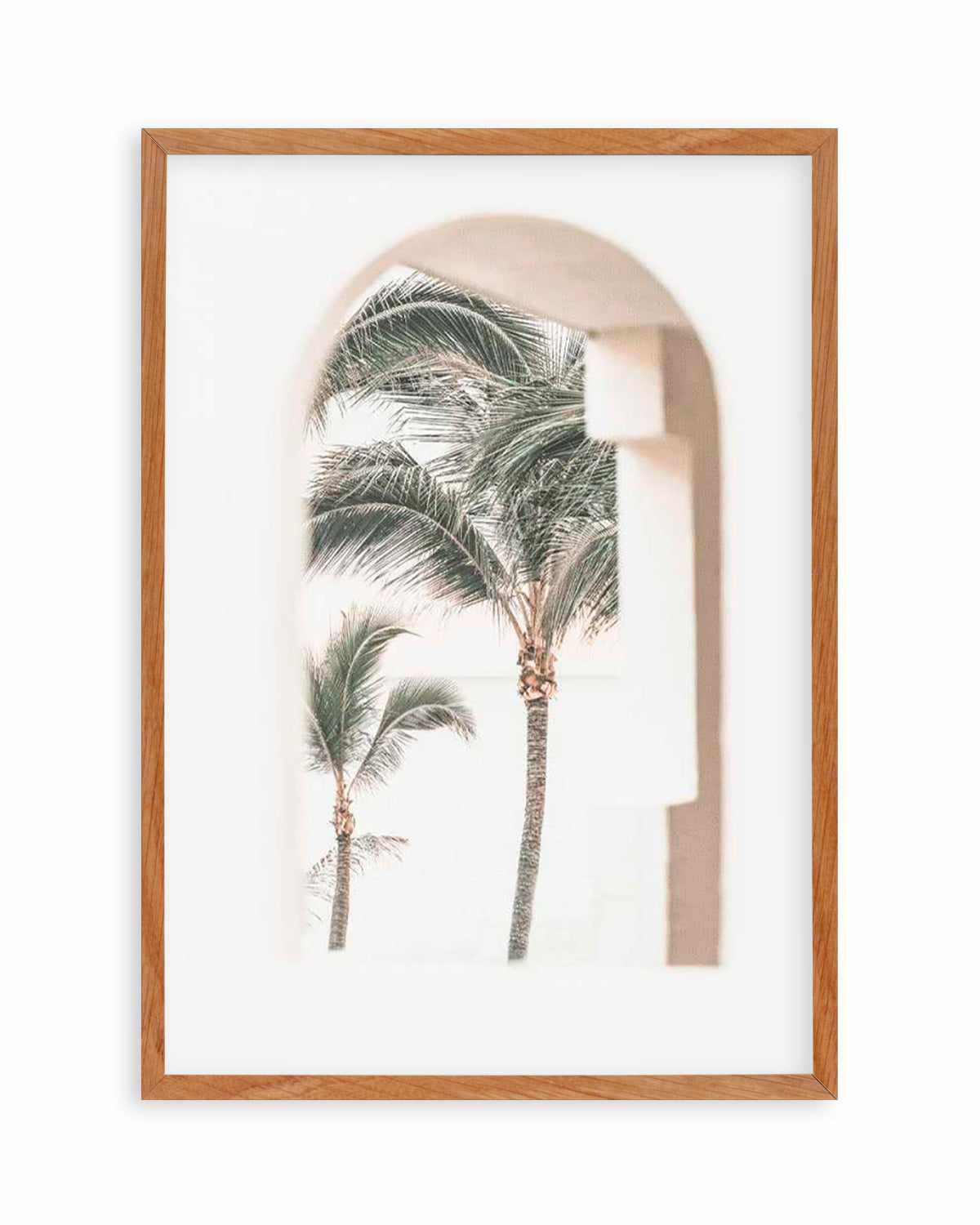 Palm Arch I by Miguel Herandez Art Print