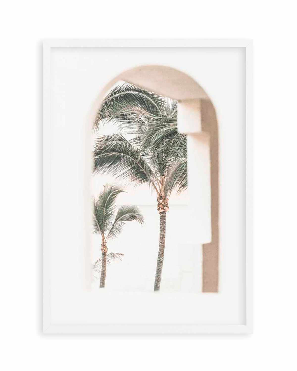 Palm Arch I by Miguel Herandez Art Print