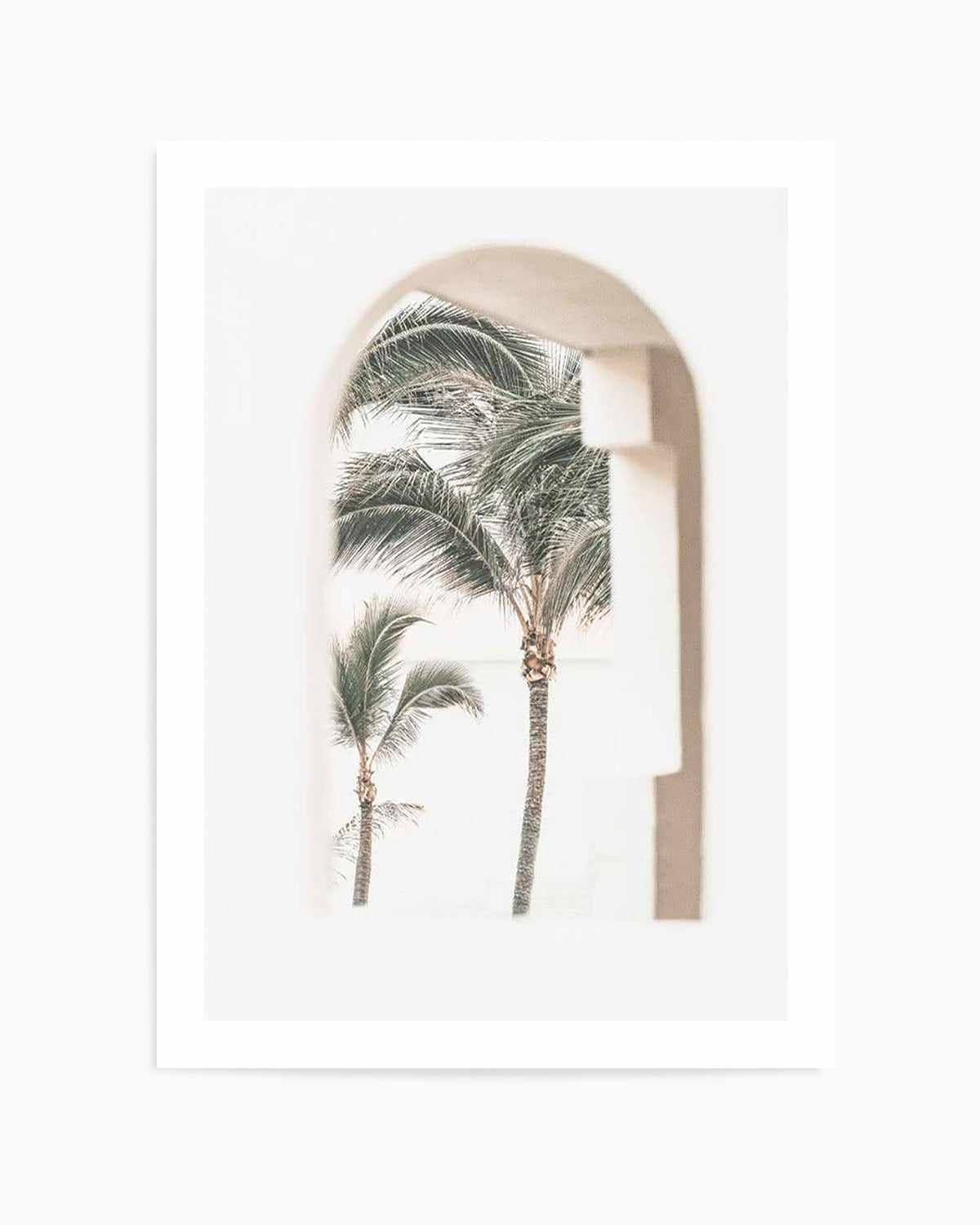 Palm Arch I by Miguel Herandez Art Print