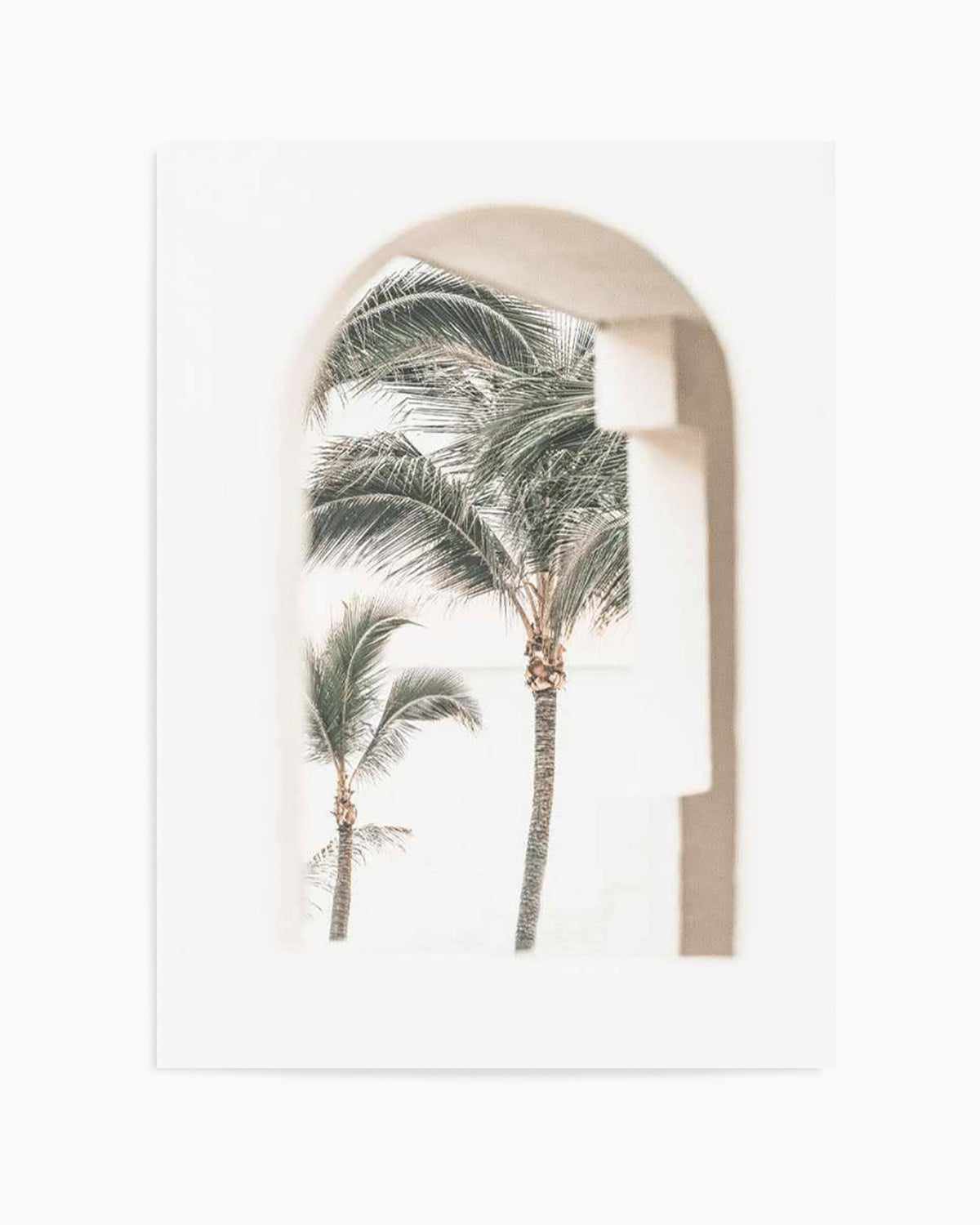 Palm Arch I by Miguel Herandez Art Print