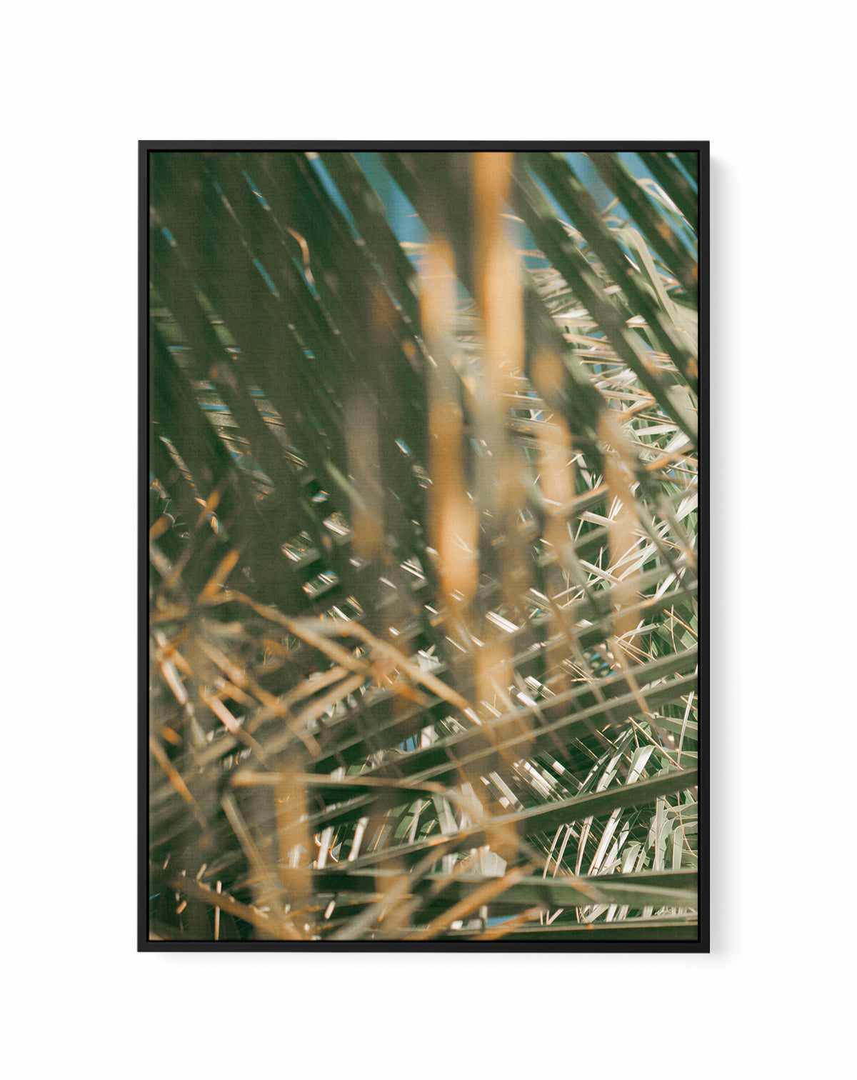 Palm Bae I by Riccardo Camilli | Framed Canvas Art Print