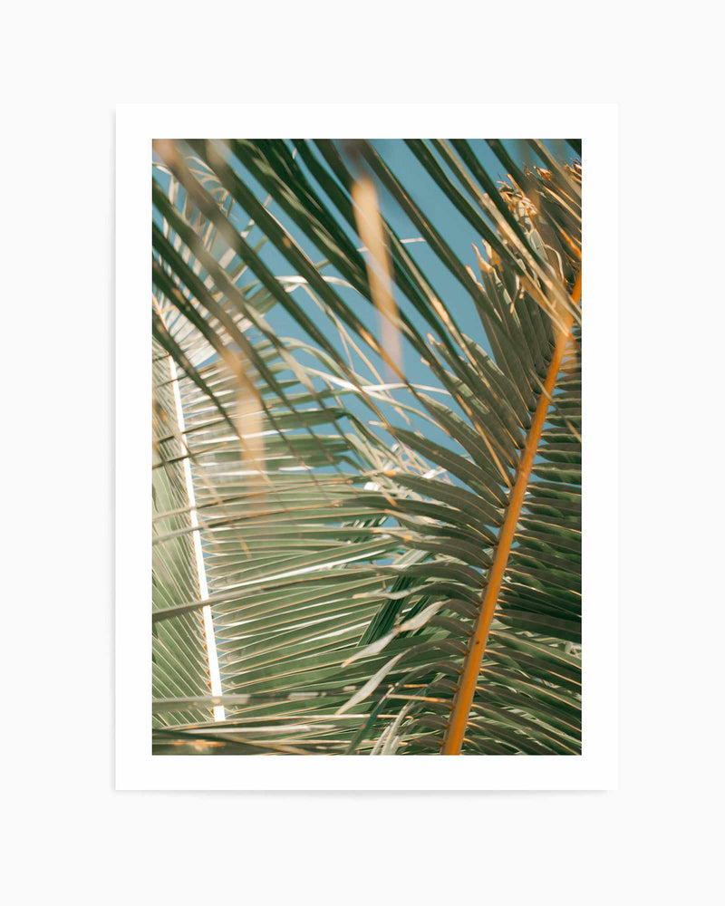 Palm Bae II by Riccardo Camilli | Art Print