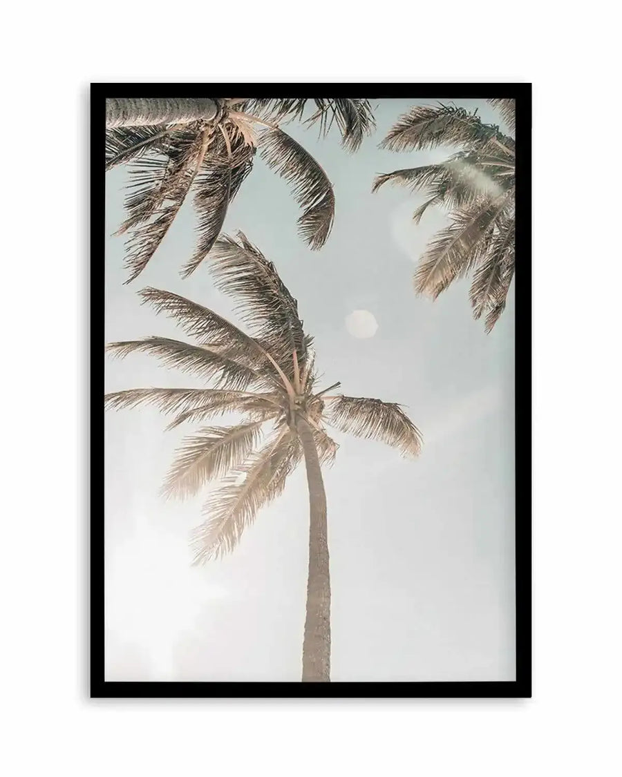 Framed photography art print featuring a low-angle view of several palm trees against a bright, hazy sky, with a black frame and white border. The sun creates a strong lens flare in the bottom left, casting a warm, overexposed glow, and a soft, circular light reflection is visible in the upper center.