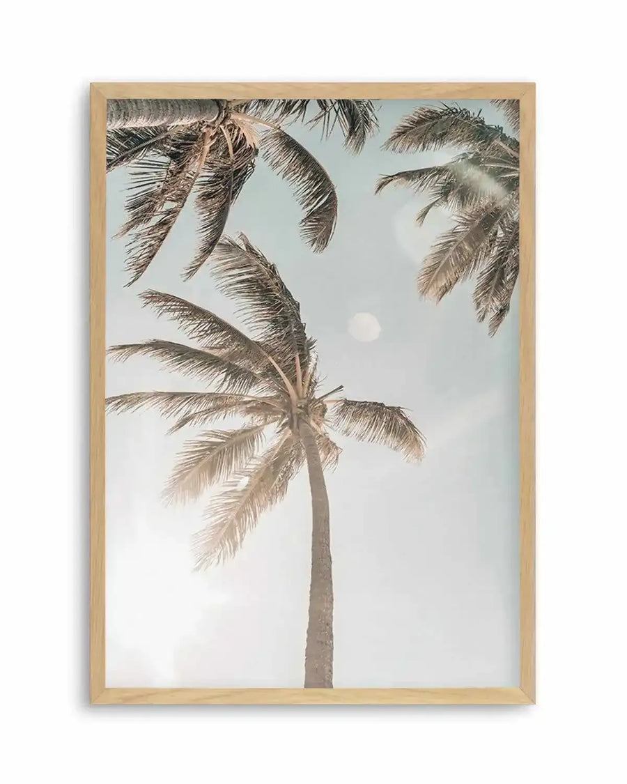 Palm Beach Art Print from Olive et Oriel where you can shop wallpaper and artworks online