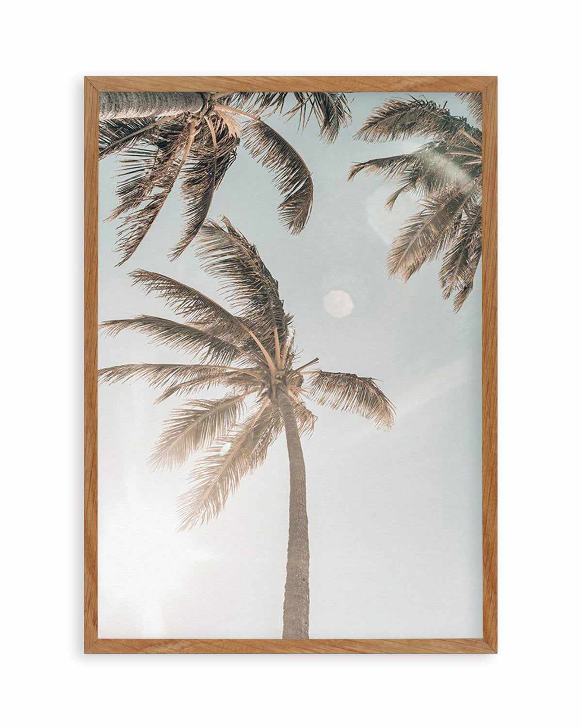 Palm Beach Art Print