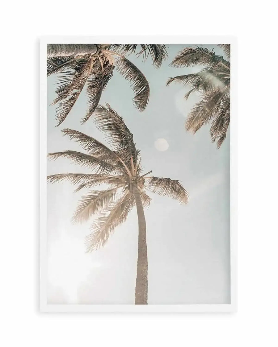 Framed photography art print of three palm trees against a pale blue sky with a bright sun flare. The palm fronds are a muted brown-green, and the sun creates a bright white glow at the bottom left and a softer glow in the upper right. The print is displayed in a white frame with a white border.