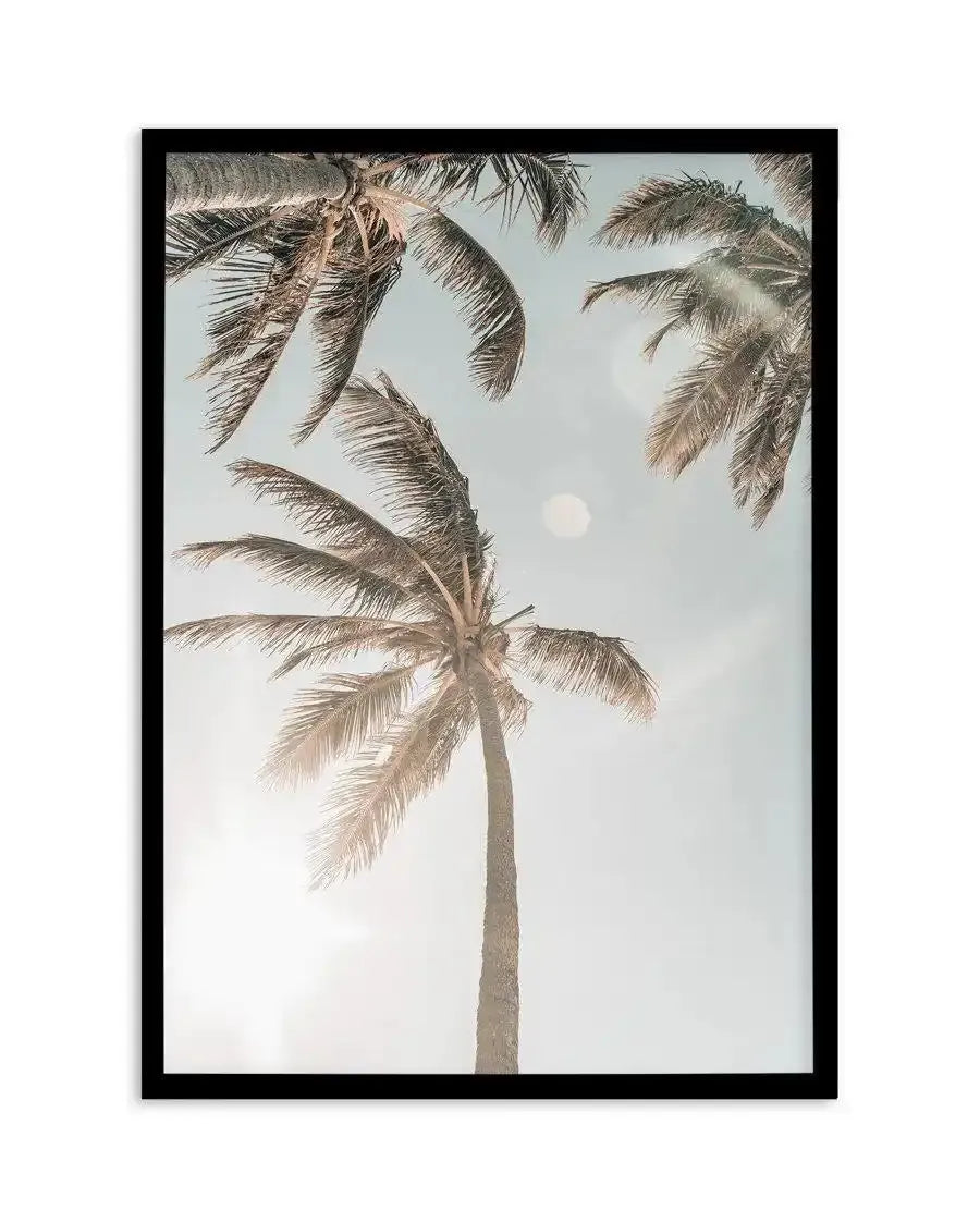 Palm Beach Art Print-PRINT-Olive et Oriel-Olive et Oriel-A4 | 8.3" x 11.7" | 21 x 29.7cm-Black-With White Border-Buy-Australian-Art-Prints-Online-with-Olive-et-Oriel-Your-Artwork-Specialists-Austrailia-Decorate-With-Coastal-Photo-Wall-Art-Prints-From-Our-Beach-House-Artwork-Collection-Fine-Poster-and-Framed-Artwork