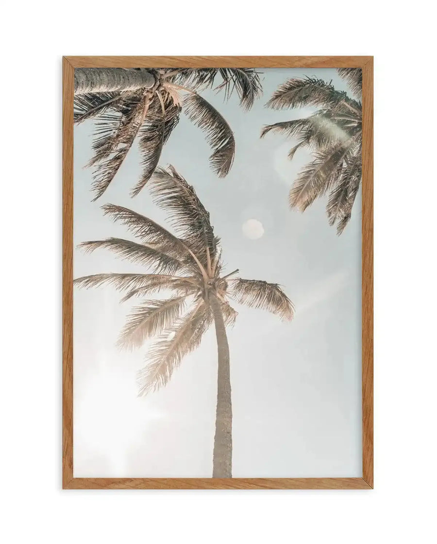 Framed photography art print featuring three palm trees against a soft blue sky with a bright sun flare, displayed in a natural oak frame with white border. The composition captures the underside of the palm fronds in a warm, desaturated tone, creating a serene tropical mood.