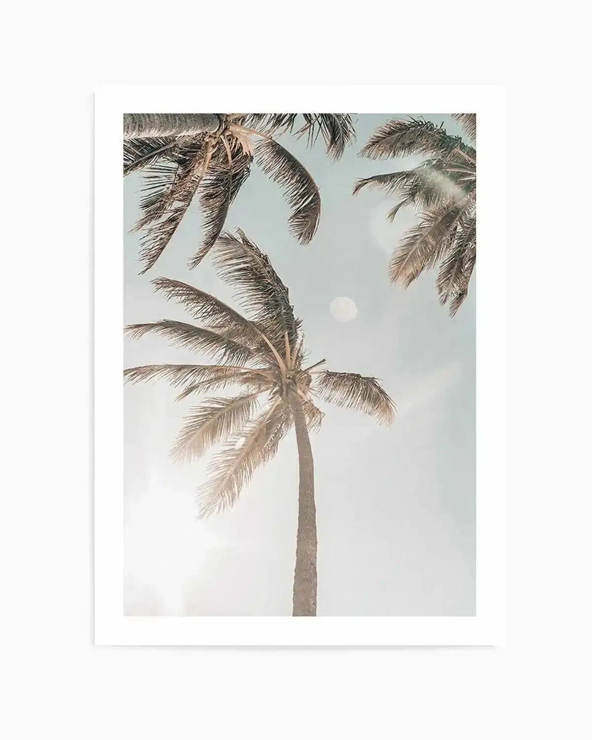 Palm Beach Art Print from Olive et Oriel where you can shop wallpaper and artworks online