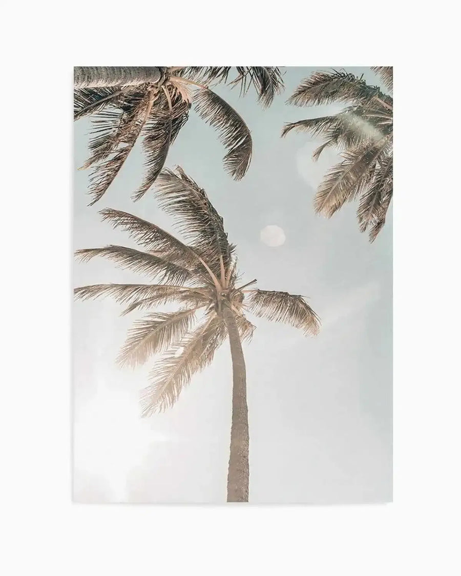 "Photography art print featuring three palm trees against a bright, hazy sky in muted tones of pale blue and cream. The composition captures the underside of the palm fronds, with a bright sun flare on the lower left and a soft, diffused light in the upper right, creating a dreamy, ethereal mood."