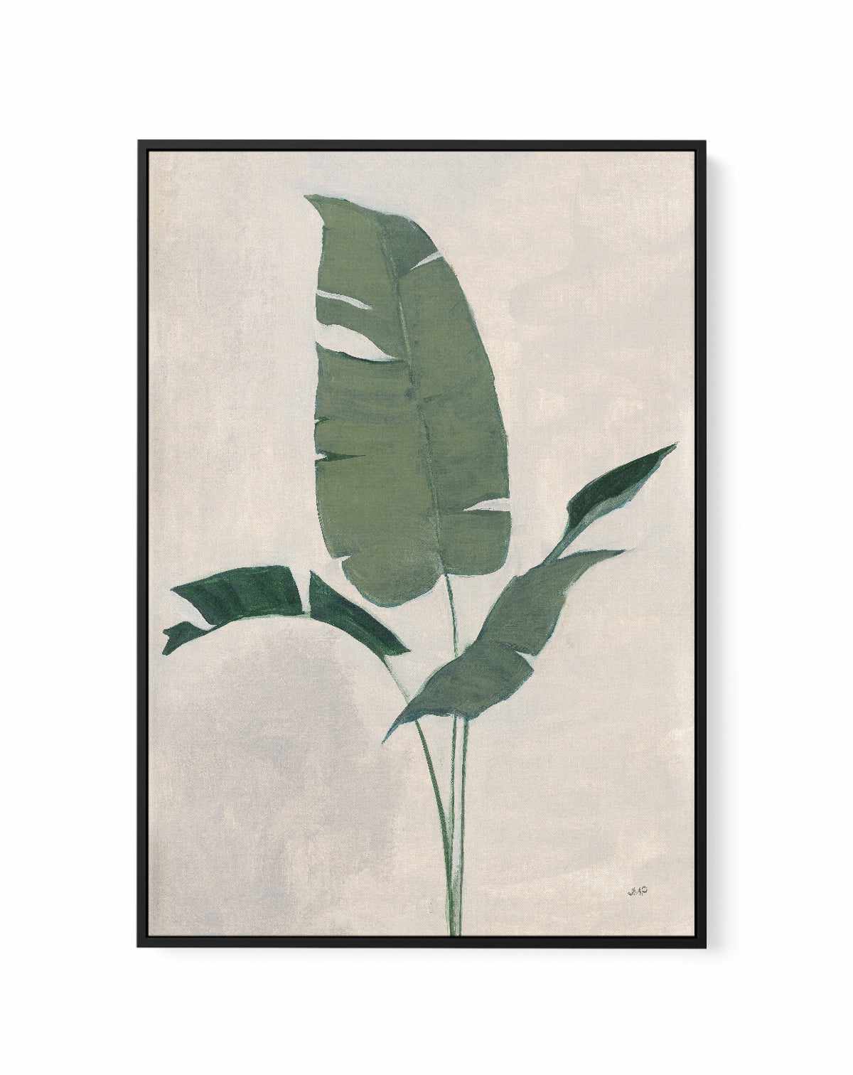 Palm Botanical II | Framed Canvas Art Print