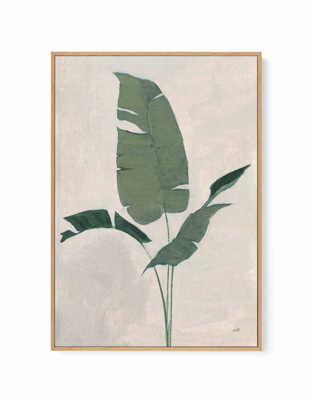 Palm Botanical II | Framed Canvas Art Print