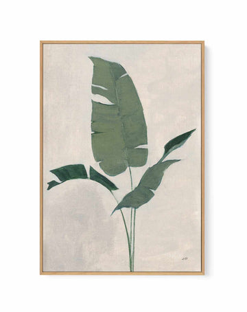 Palm Botanical II | Framed Canvas Art Print from Olive et Oriel where you can shop wallpaper and artworks online