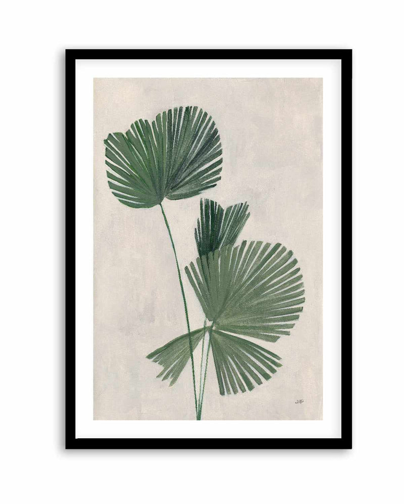 Palm Botanical III | Art Print