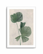 Palm Botanical III | Art Print