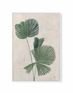 Palm Botanical III | Framed Canvas Art Print