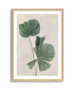 Palm Botanical III | Art Print