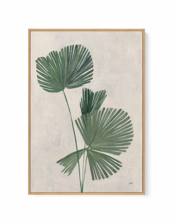 Palm Botanical III | Framed Canvas Art Print from Olive et Oriel where you can shop wallpaper and artworks online