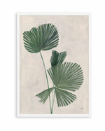 Palm Botanical III | Art Print