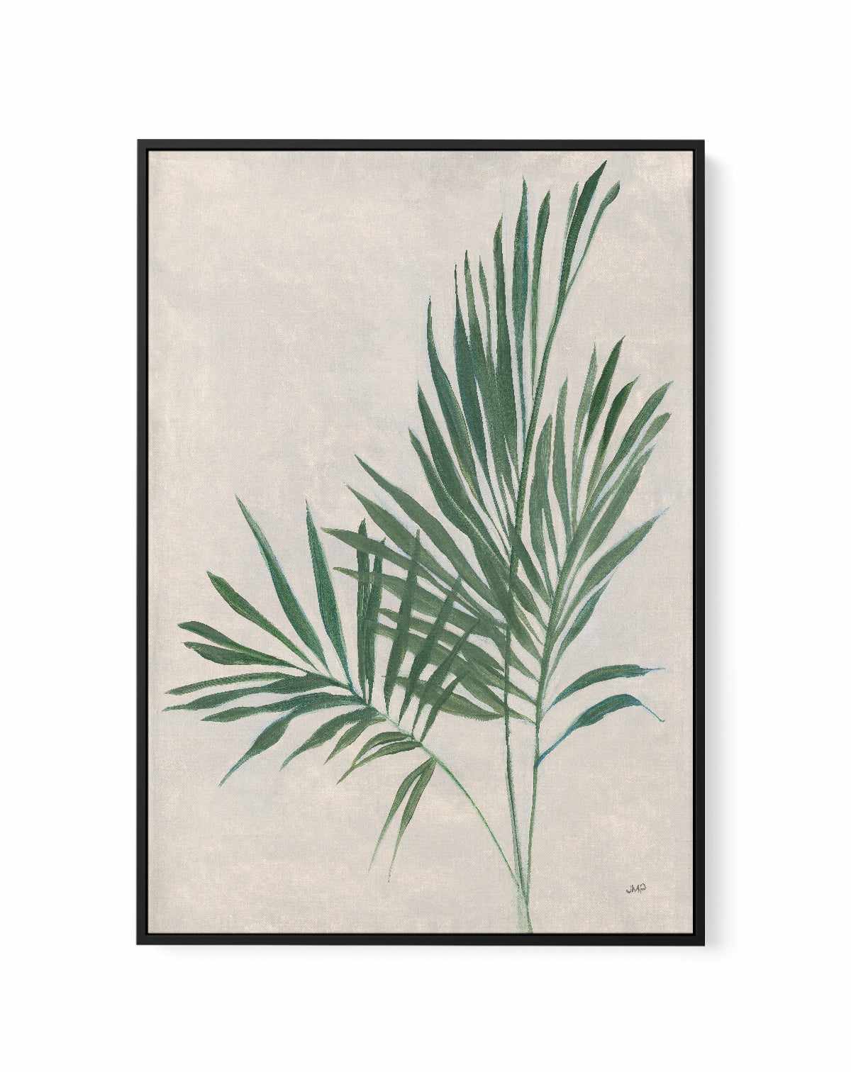 Palm Botanical IV | Framed Canvas Art Print