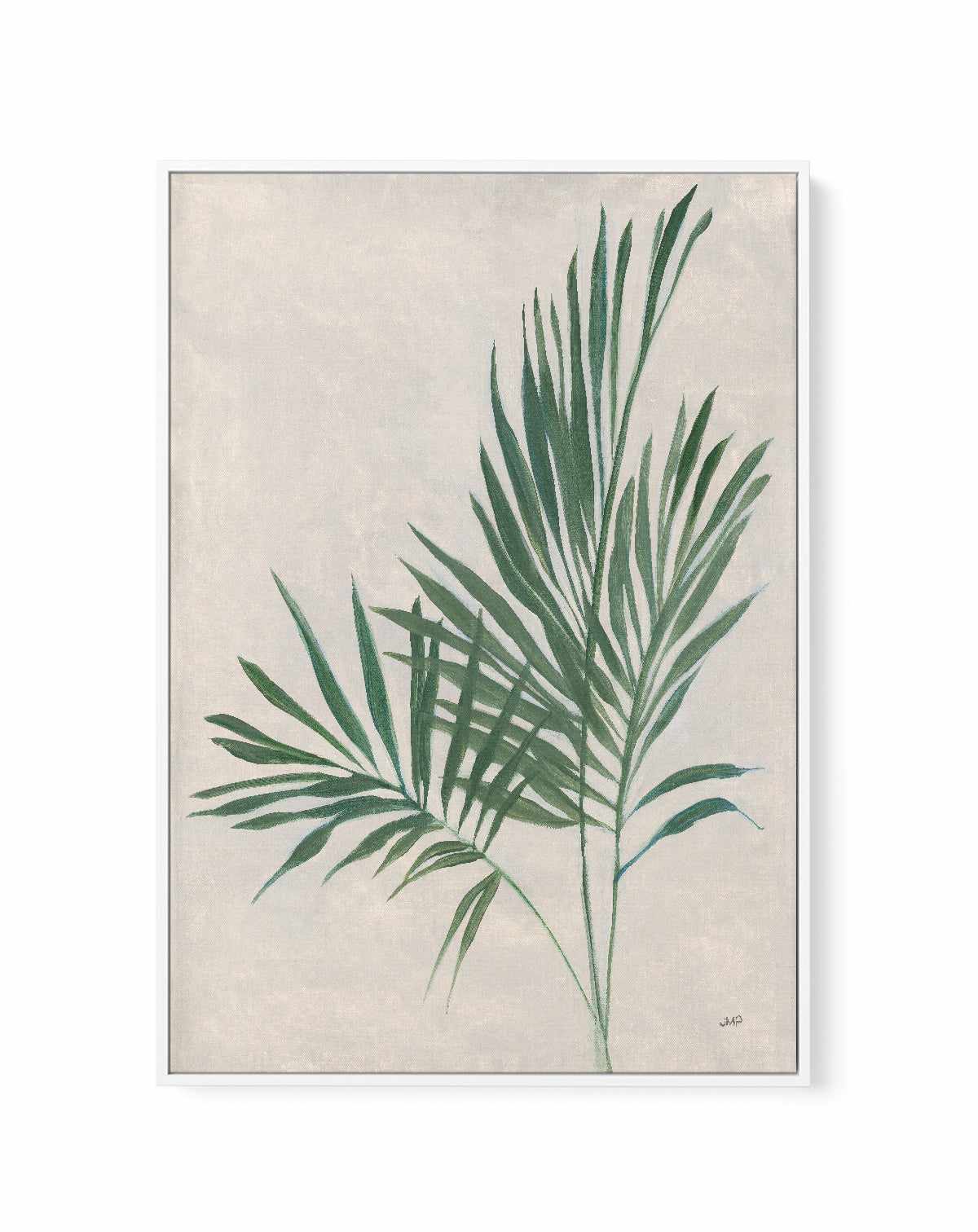 Palm Botanical IV | Framed Canvas Art Print