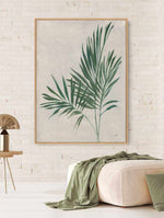 Palm Botanical IV | Framed Canvas Art Print