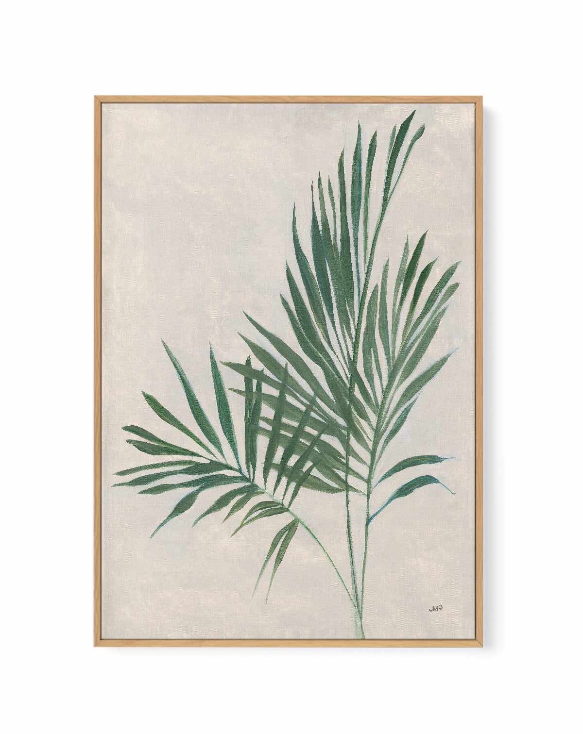 Palm Botanical IV | Framed Canvas Art Print