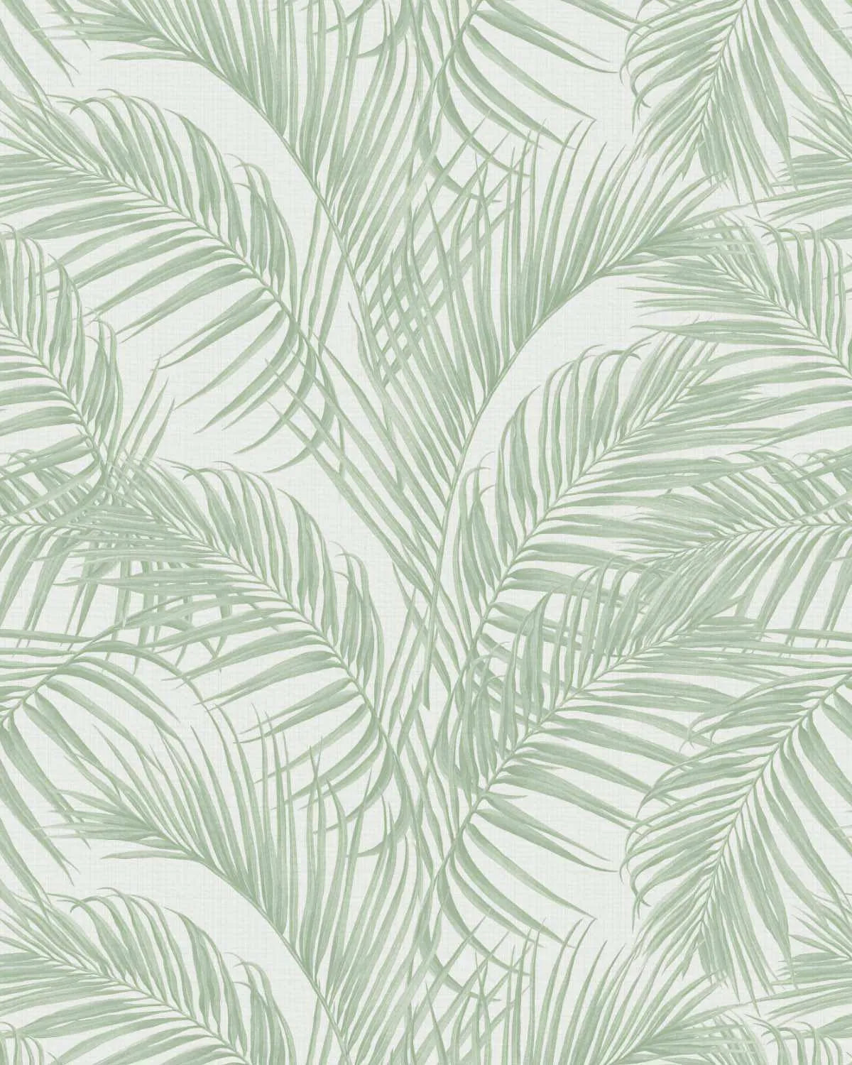 Palm Escape Sage Green On White Wallpaper-Wallpaper-Buy Australian Removable Wallpaper Now Sage Green Wallpaper Peel And Stick Wallpaper Online At Olive et Oriel Custom Made Wallpapers Wall Papers Decorate Your Bedroom Living Room Kids Room or Commercial Interior