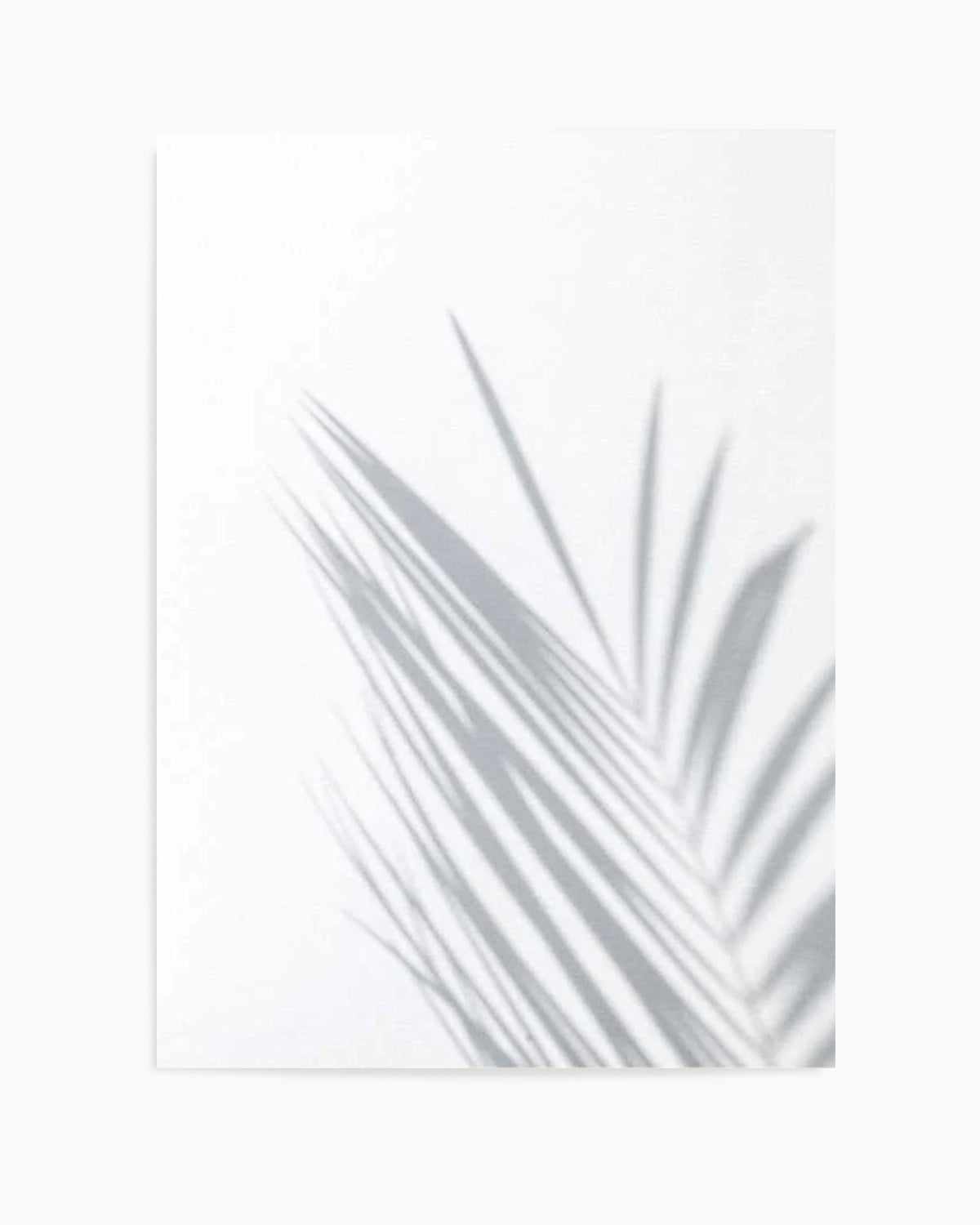 Palm I Art Print