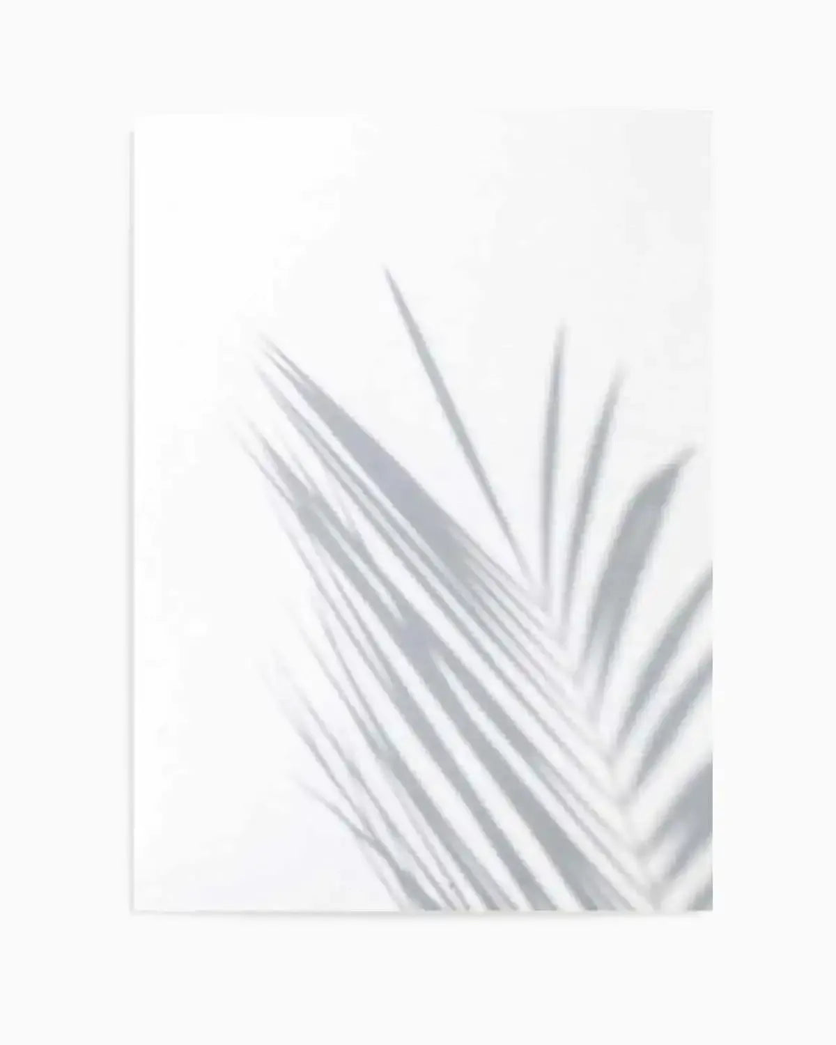 Palm I Art Print from Olive et Oriel where you can shop wallpaper and artworks online