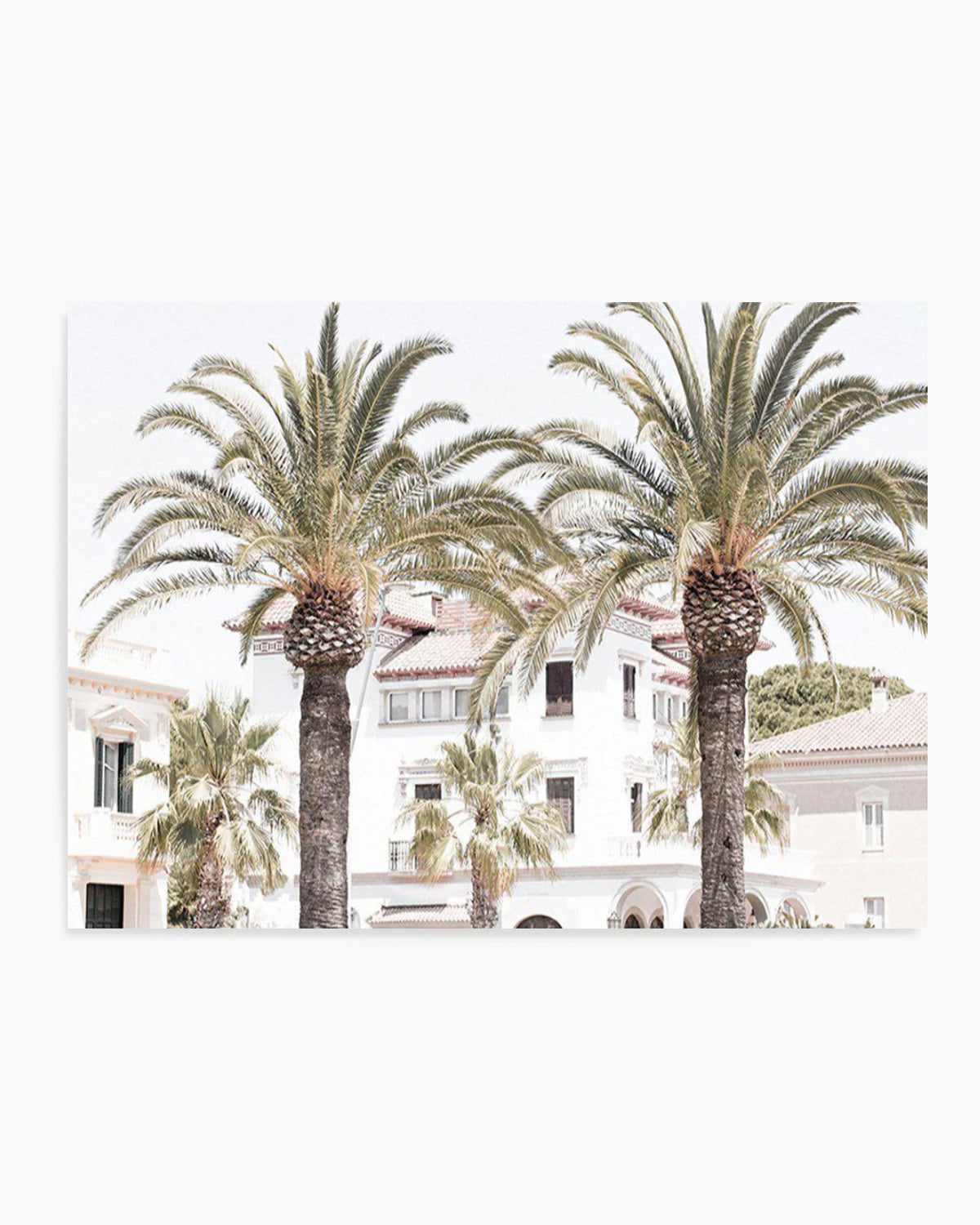 Palm Paradise Art Print