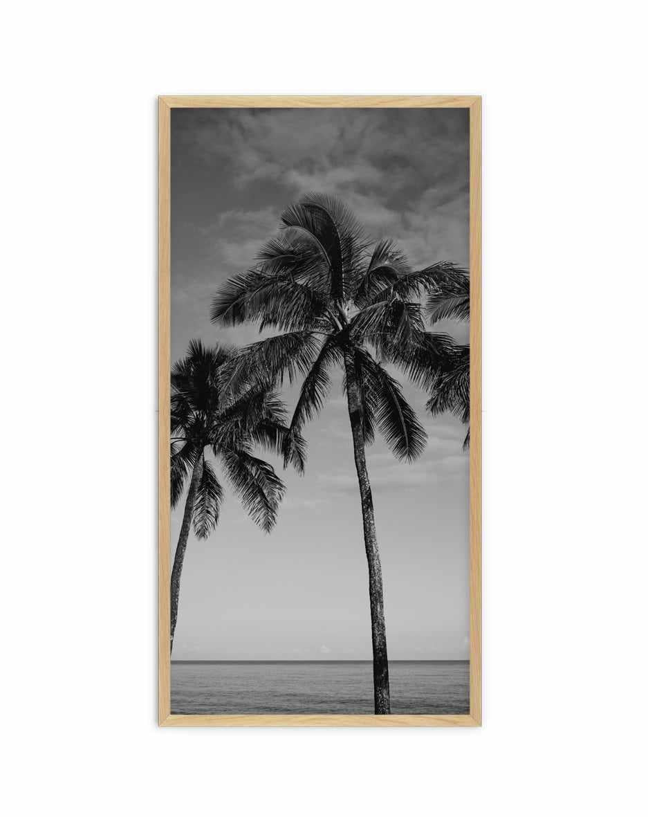 Palm Paradise B&W | Panoramic Art Print from Olive et Oriel where you can shop wallpaper and artworks online