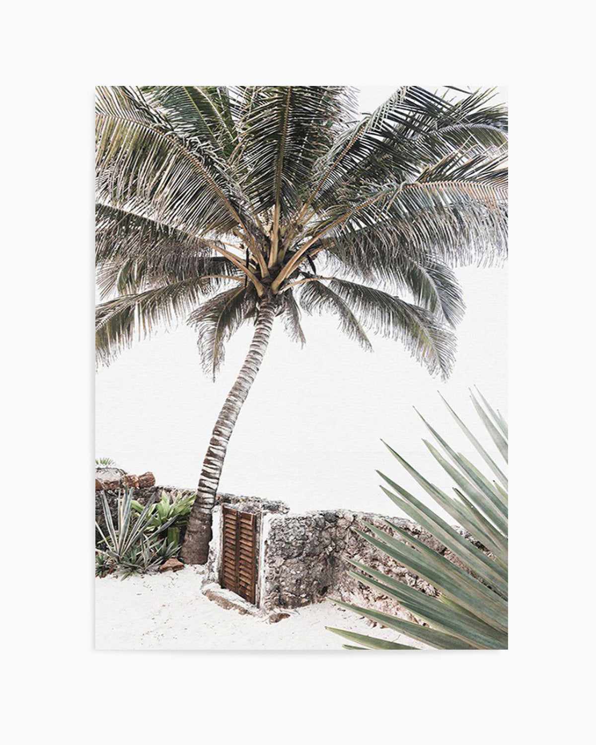 Palm Resort Art Print