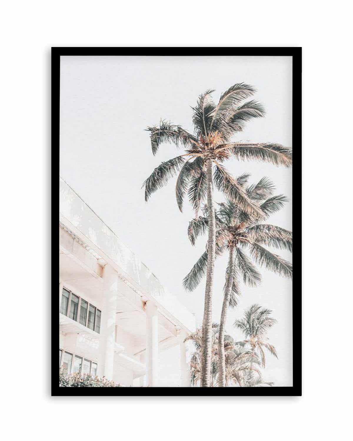 Palm Resort II Art Print