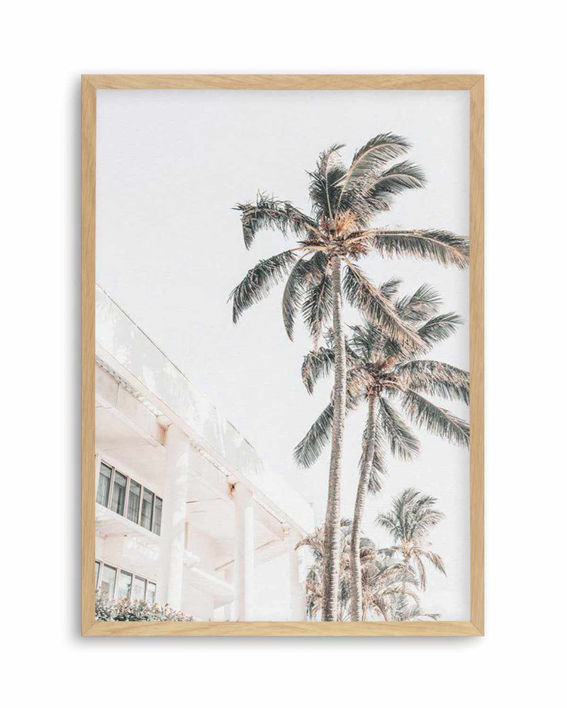 Palm Resort II Art Print