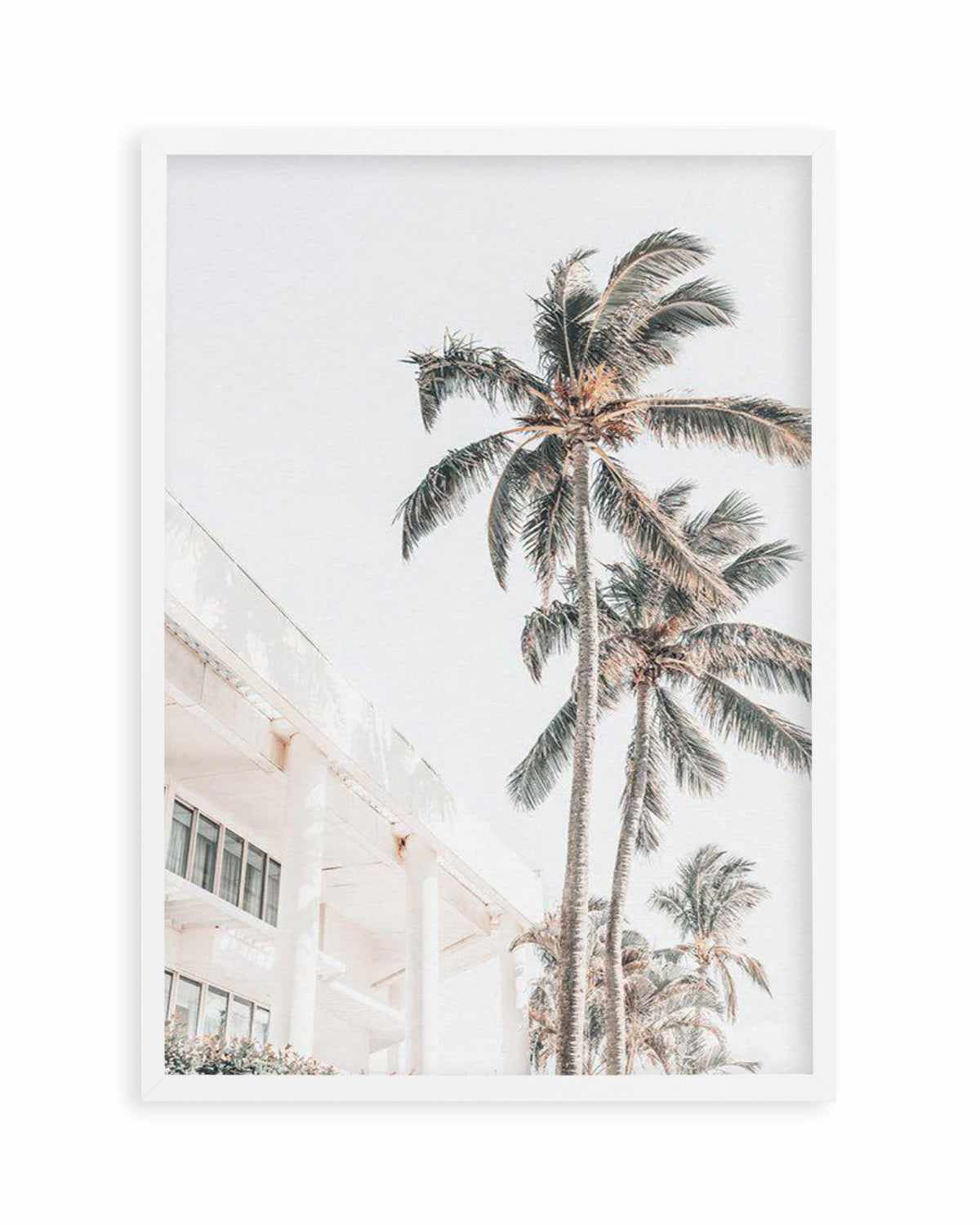 Palm Resort II Art Print