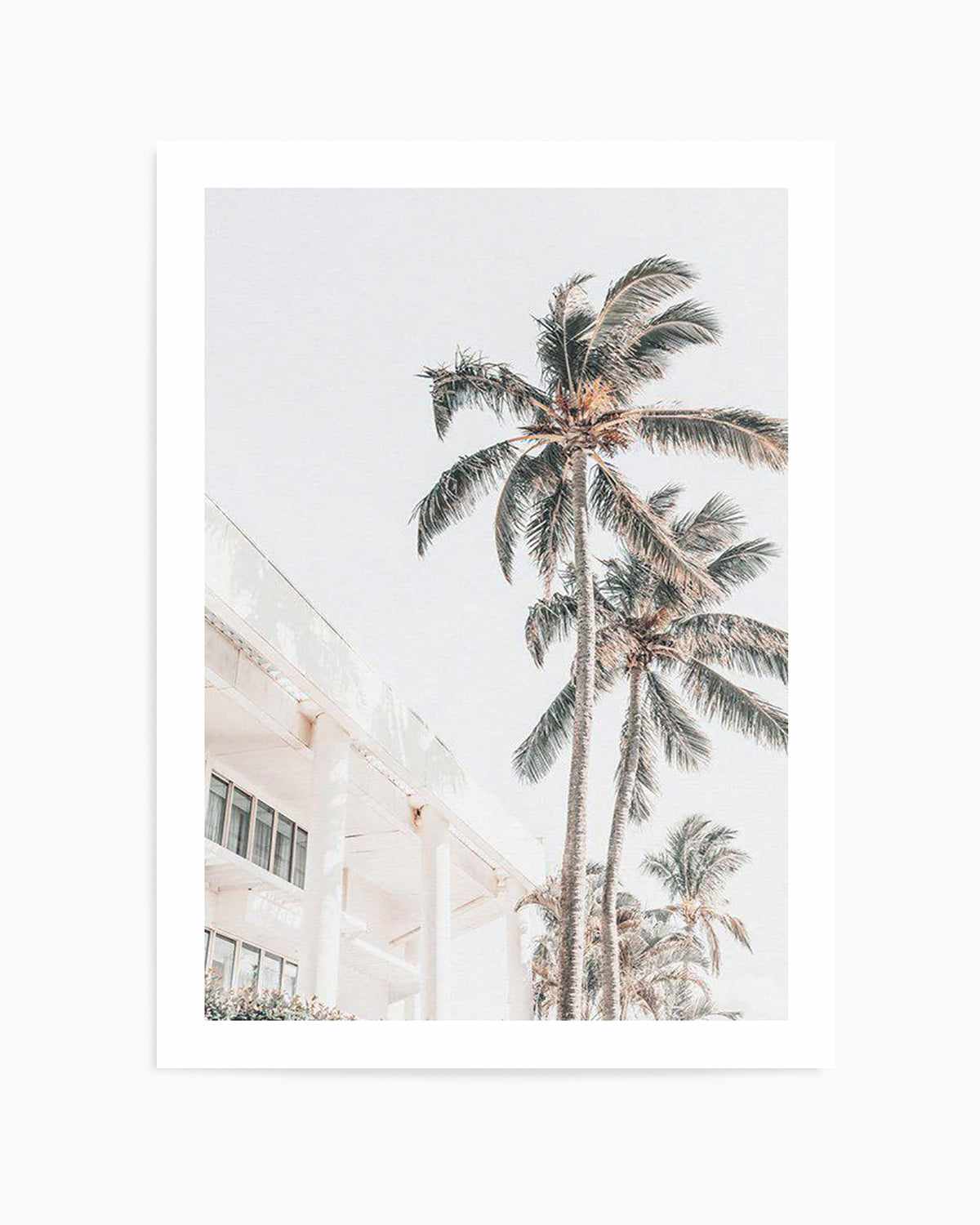 Palm Resort II Art Print