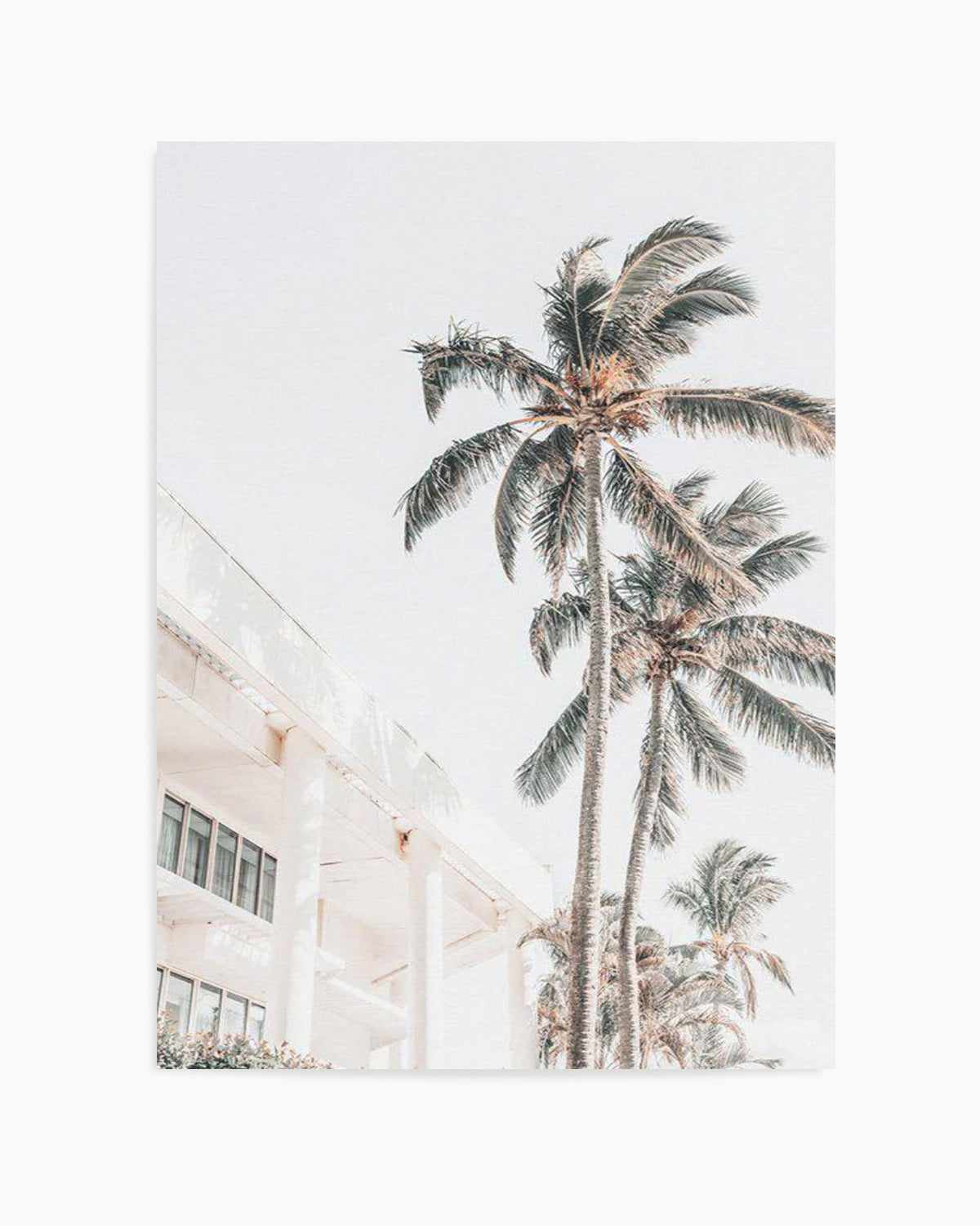 Palm Resort II Art Print