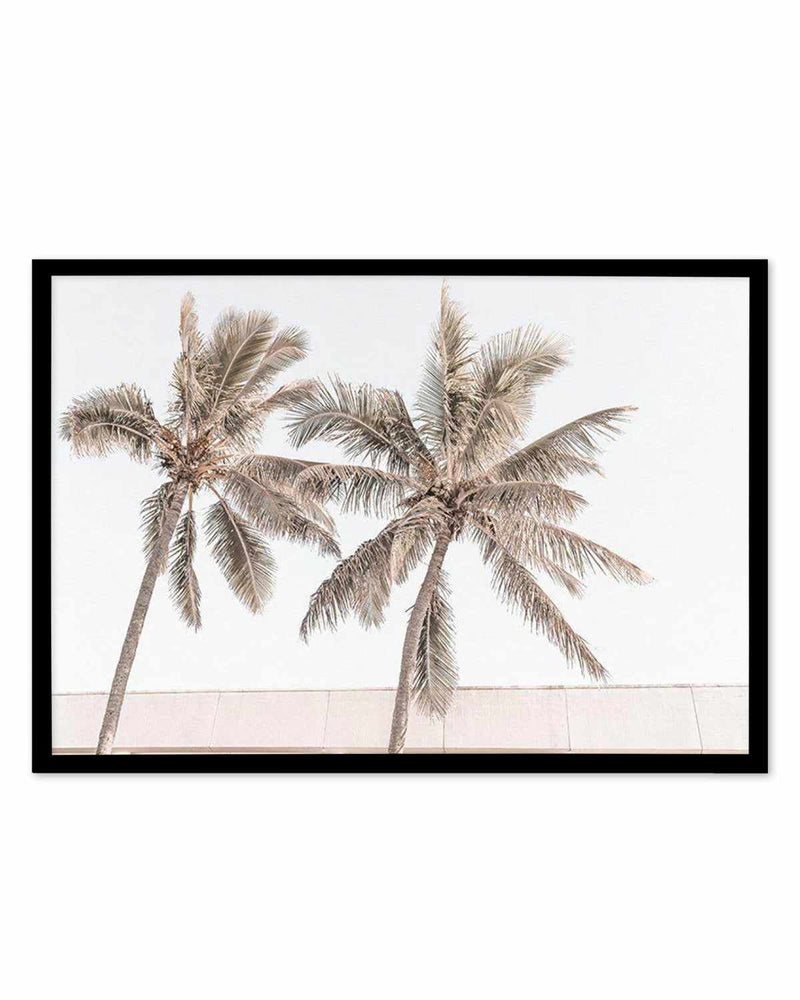 Palm Resort III Art Print