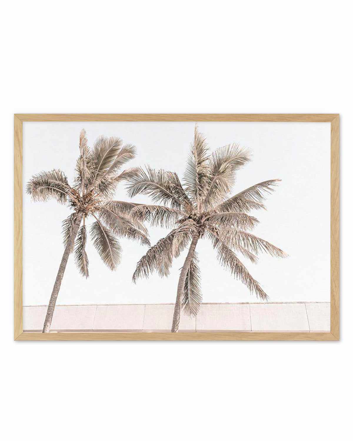 Palm Resort III Art Print