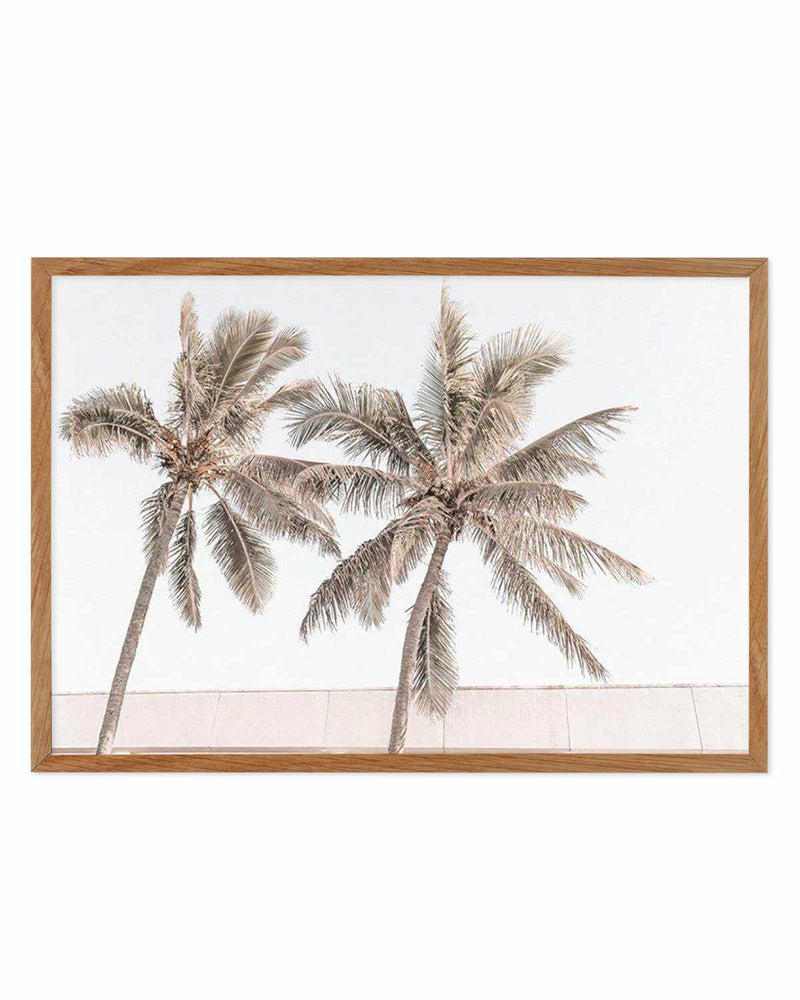 Palm Resort III Art Print