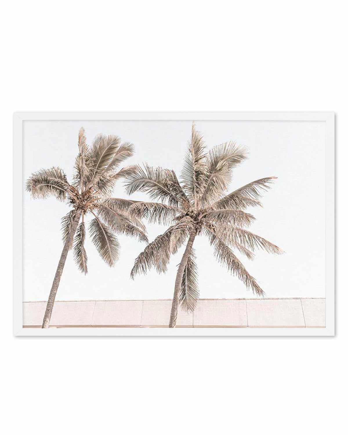 Palm Resort III Art Print