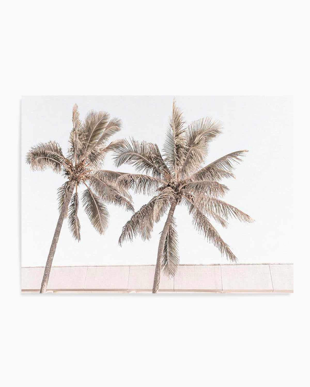 Palm Resort III Art Print